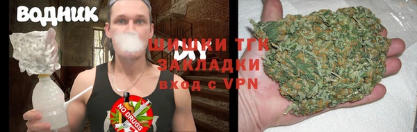 гидра Михайловск