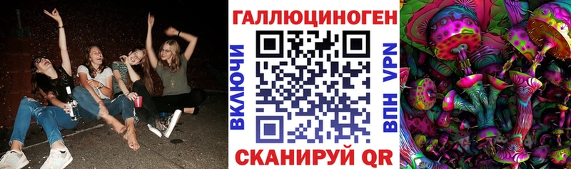 Псилоцибиновые грибы мицелий  купить   мега ТОР  Щигры 